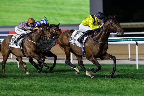 قوة قدوة تتفوق للفوز بسباق زعبيل مايل المجموعة 2 (برعاية في إيه للإعلانات) في ميدان، متفوقة على مدينة أوموري والجمهور. - صورة ERA