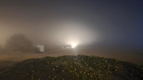 ضباب كثيف يحوّل "نصف صحراء" دبي إلى لوحة بيضاء ويفاجئ المخيمين