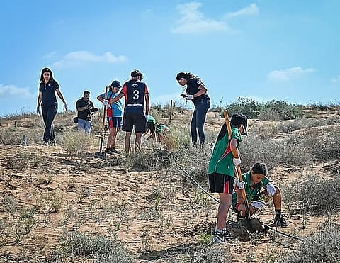 صورة للاستخدام التوضيحي. الصورة: ملف KT