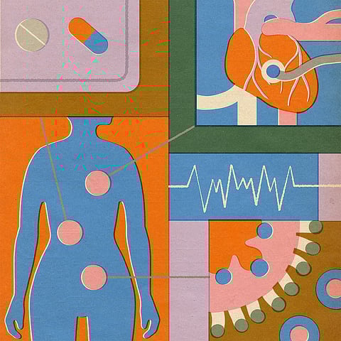إيلينا بويلز/نيويورك تايمز