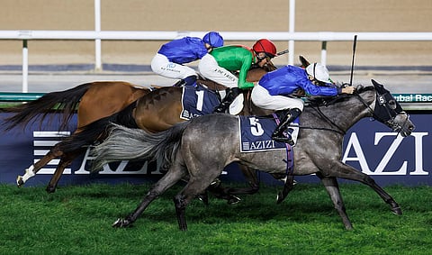 دبي بيتش يتفوق على كويد برو كو (C) وزميله في الإسطبل دبي تريجر ليحصد لقب سباق كيب فيردي من الفئة الثانية في كرنفال دبي لسباق الخيل يوم الجمعة. – الصورة: هيئة الإمارات لسباق الخيل