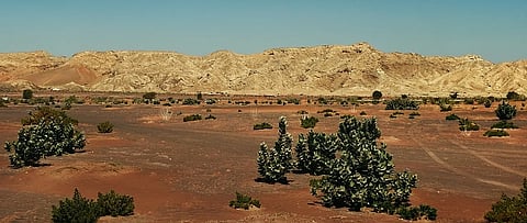 مليونا درهم "منحة الفاية" من الشارقة لدعم البحث العلمي