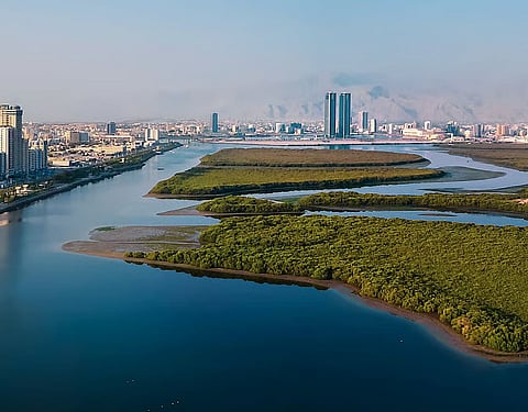 صورة تستخدم لغرض توضيحي