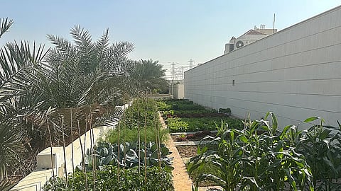 مختارات "خليج تايمز": قصص نبحث عنها لترميم الروح