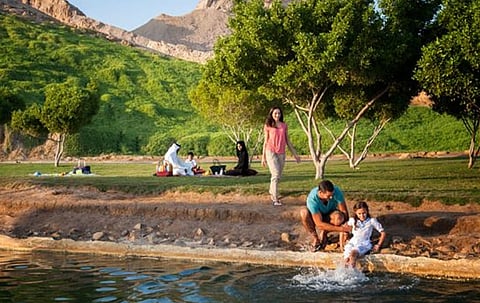 منطقة المبزرة الخضراء