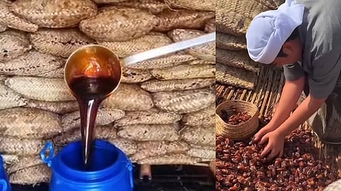 غرفة المدبسة حيث يتم إنتاج الدبس 