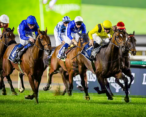 فروسية بروح رمضانية.. مبيعات تذاكر"ميدان" تدعم الأعمال الخيرية