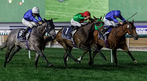 دبي بيتش (يمين)، بقيادة الفارس كيران شومارك للمدرب سعيد بن سرور، يفوز بسباق كيب فيردي من الفئة الثانية متفوقًا على كويد برو كوب (وسط) ودبي تريجر. - تصوير نادي دبي لسباق الخيل