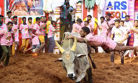அலங்காநல்லூர் ஜல்லிக்கட்டுப் போட்டி நிறைவு: கார்த்திக் முதலிடம்