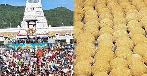 கலப்பட நெய்யை கண்டறிய திருப்பதியில் புதிய கருவி!