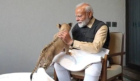 அம்பானியின் வந்தாரா விலங்குகள் காப்பகத்தை திறந்து வைத்தார் பிரதமர் மோடி!