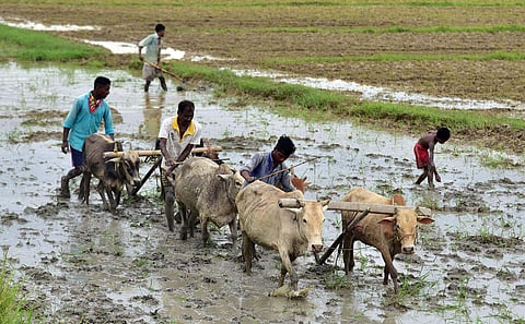 வேளாண் கடனுக்கு சிபில் ஸ்கோர் நடைமுறை கூடாது: தமிழ்நாடு விவசாயிகள் சங்கம் எதிர்ப்பு!