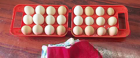 முட்டை - கோப்புப்படம்