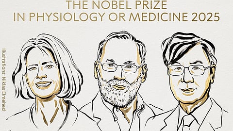 மருத்துவத்திற்கான நோபல் பரிசு: 3 பேருக்கு அறிவிப்பு | Nobel Prize |