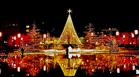 Christmas just got merrier! Check out this trip to Goa  planned by IRCTC