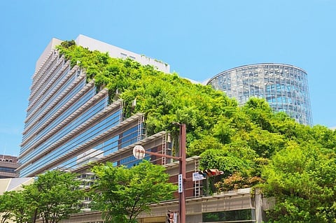 Knocksense Shorts | Gujarat witnesses a remarkable rise in Green Buildings