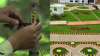 Ahmedabad News Roundup | AMC to initiate tree census, RTO server issues disrupt tests & more 