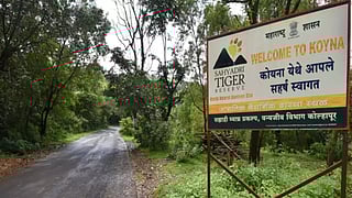 World Wildlife Day: Know about THESE 6 diverse fauna habitats near Mumbai