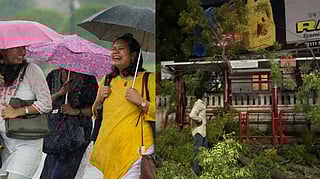 Ahmedabad News| First pre-monsoon showers, protests against AMC for tree felling on IIM Road & more