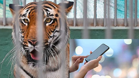 With this NEW app, explore Mumbai’s Botanical Garden & Zoo like never before!