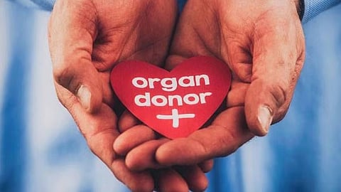 Mumbai sets new organ donation record in 2024, marking 20% rise since the pandemic!