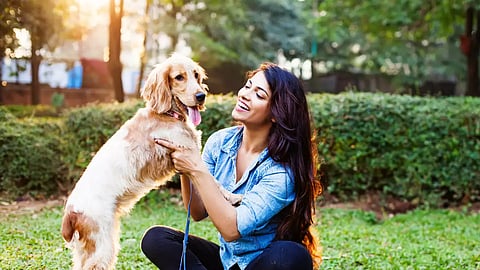 Online registration for pet dogs begins in Ahmedabad | 107 dogs licensed on the first day!