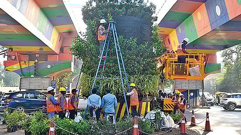 In a first, metro flyover pillar in Ahmedabad gets a green makeover with a vertical garden!