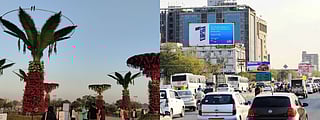 Ahmedabad News| Flower Show draws 15,000+ visitors on day 1, SG Highway to soon be dust-free & more