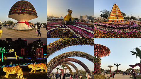 30+ sculptures & 10 Lac flowers: Here's why Ahmedabad Flower Show 2025 is a must-visit!
