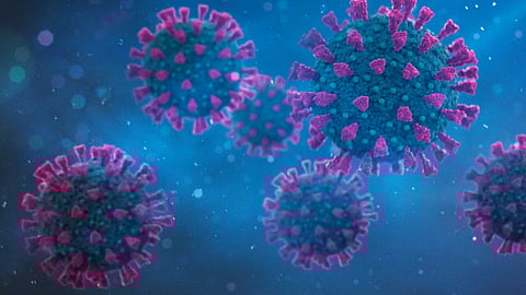 Gujarat reports first suspected case of HMPV in Ahmedabad| State Government issues advisory