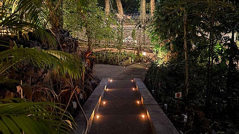 The Nest: Revamped with 8000 plants, Shantivan Gardens in Mumbai’s Malabar Hill opens on Feb 1