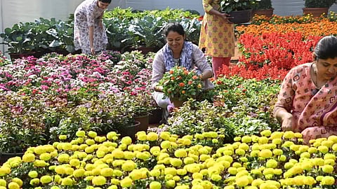 Pushpotsav 2025 | Starting Jan 31, Mumbai’s 28th flower show to celebrate national symbols