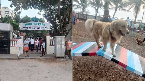 New Pet Park debuts at Juhu Beach for Mumbai’s furry residents | Details