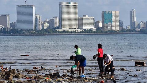 Mumbai News | New ‘Garbage Tax’ proposed, 'user fee' to streamline waste management