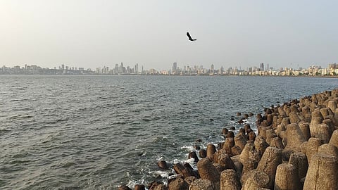 Mumbai University steps up with new Climate Skills course, as city battles extreme weather events