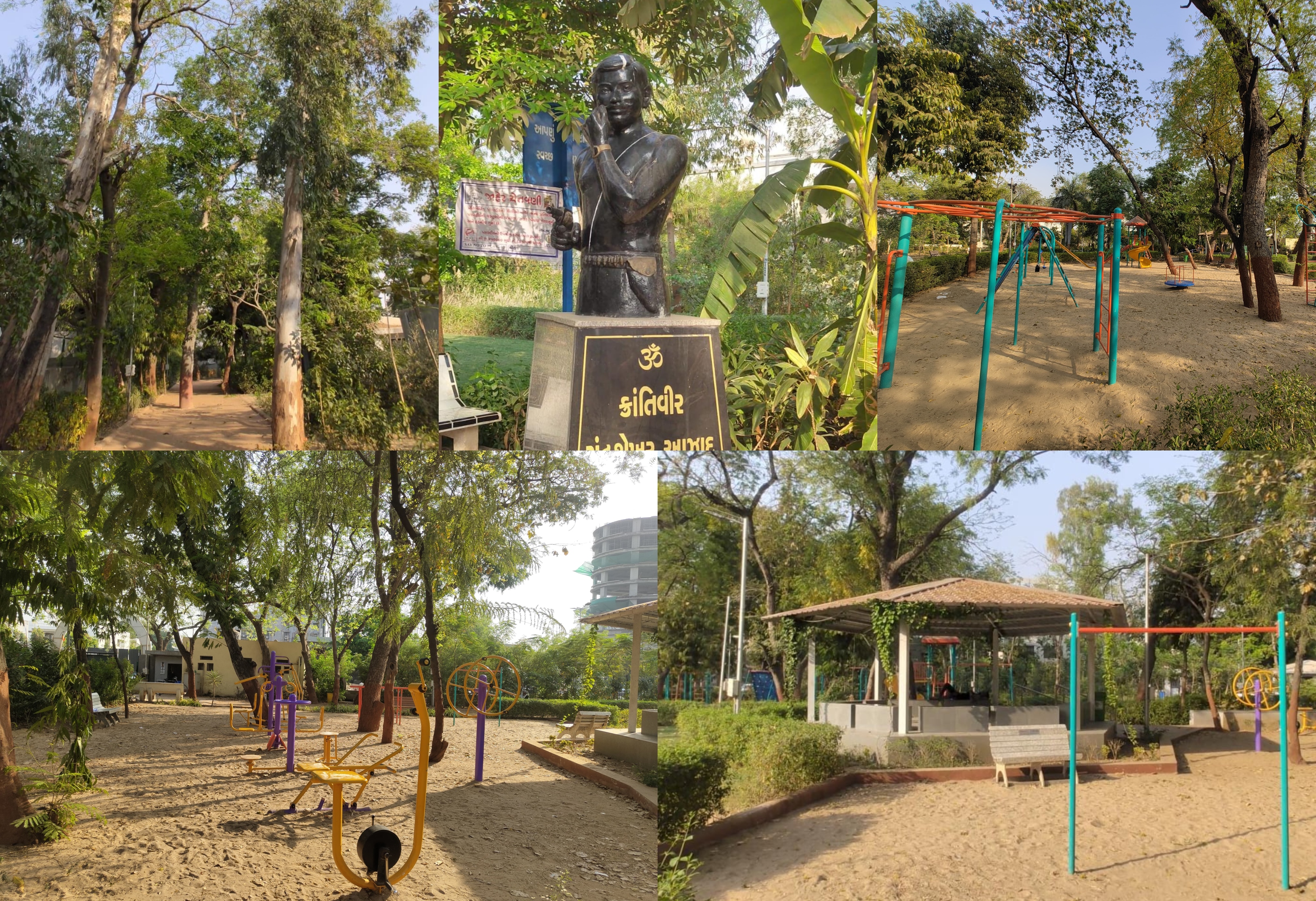 Tall trees, green gym, lush lawns & more | Why this Ahmedabad garden is worth a visit!