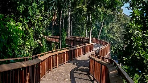 With ₹25 entry fee, Mumbai’s Malabar Hill Walkway now open; notes over 3,400 visitors in 48 hours