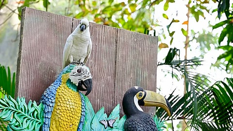 Meet 500+ feathered friends from 70 species, at India’s first interactive bird park in Mumbai