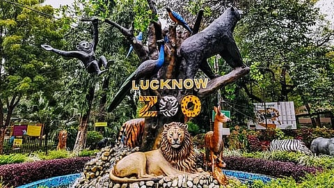 Lucknow Zoo re-opens after 15-day closure; Kanpur Zoo to remain shut till THIS date