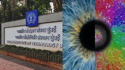 Not just chemicals, cells respond to hidden mechanical patterns too: IIT Bombay study