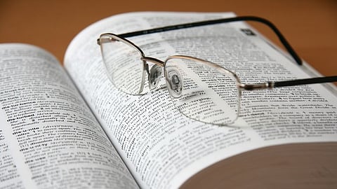 Skibidi, Ohio, Delulu: Cambridge Dictionary adds over 6,000 new words