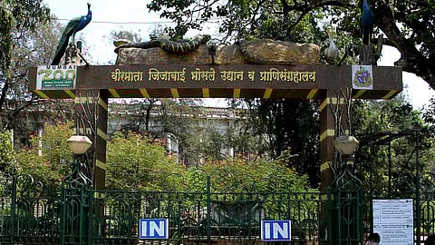 Byculla Zoo to remain open on Ganesh Chaturthi