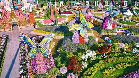 Jogger’s Park in Vasant Kunj to host Lucknow’s first-ever ‘Glow Garden’
