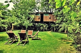 Plan a weekend trip to the Tree house resort in Jaipur and head closer to the nature