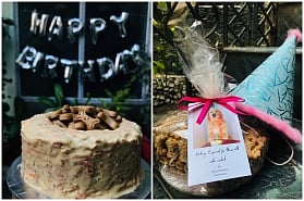 Lucknow, give your furry friends a real treat with pet friendly cakes from Cake o’clock