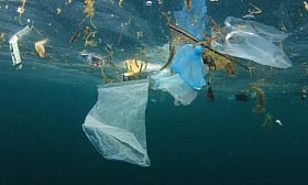 Goa has officially imposed a ban on plastic items & it’s time to say ‘hello’ to cleanliness!