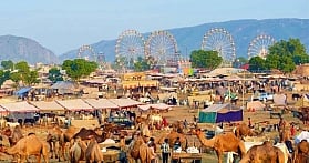Jaipurites, the Pushkar Fair 2019 is here & you've got to pay a visit to this insane mela!