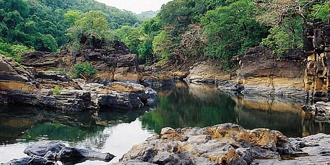 Pave your way to Goa's Cotigao Wildlife Sanctuary for a trail amidst the wild & winsome!