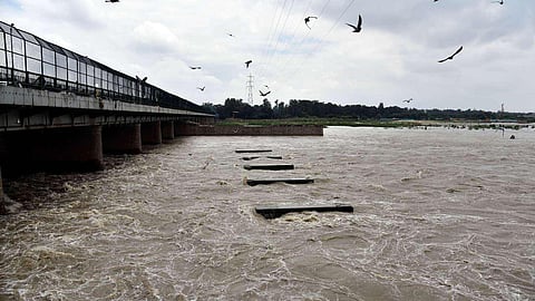 Banks of River Ganga in Uttar Pradesh to get a new belt of herbal & medicinal plants