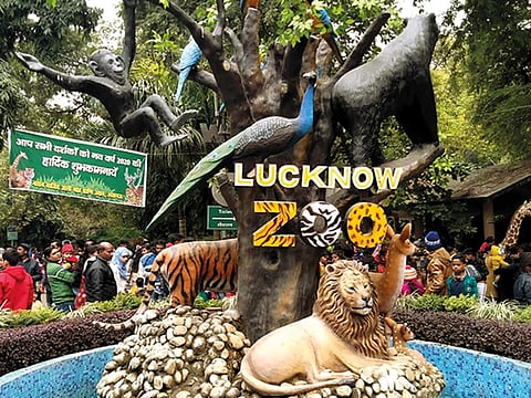 Centenary celebrations at Lucknow Zoo to include a memorial built for its deceased wildlife